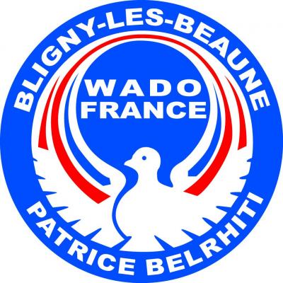 Logo club couleur 1